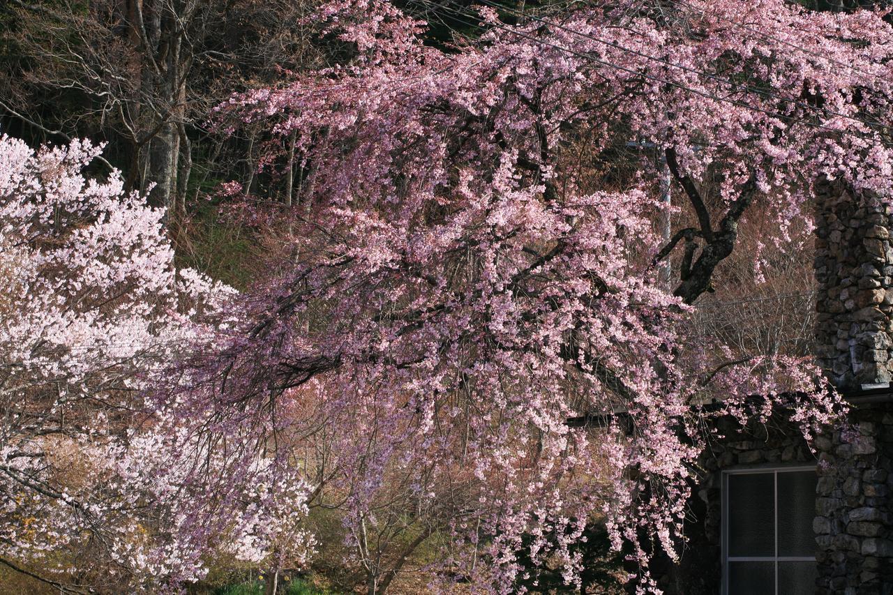 宿驹汤日式旅馆 木曾町 外观 照片
